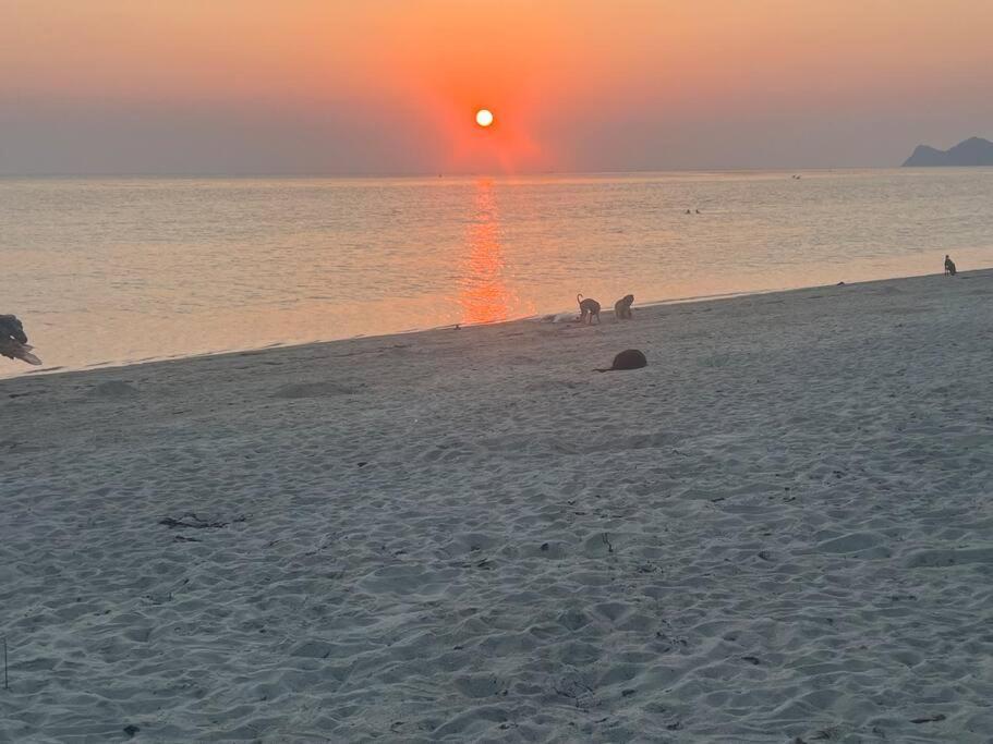 Sunset Serenity Cove كو بانغان المظهر الخارجي الصورة